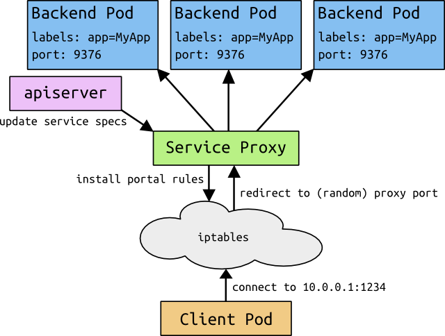 services_detail